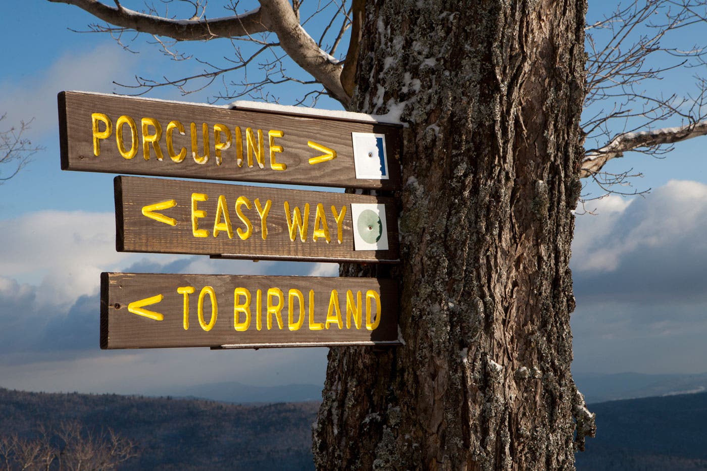 variety No. 2: Cannon Mountain, New Hampshire
