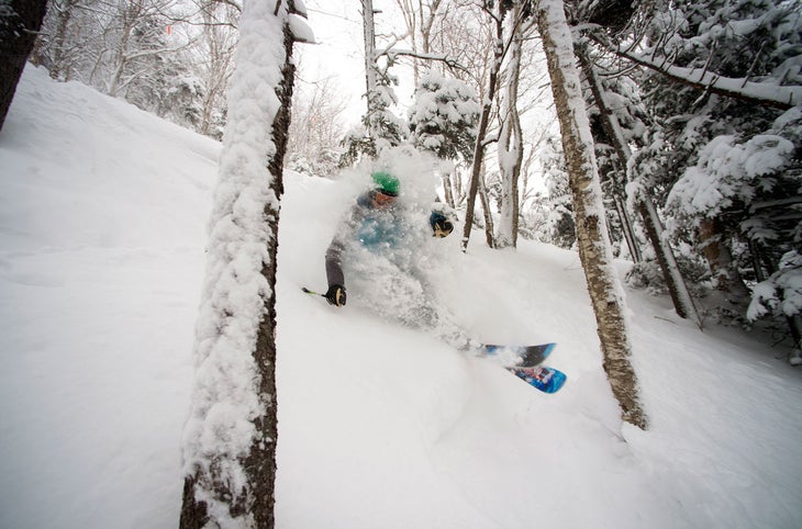 variety Sugarbush, Vermont