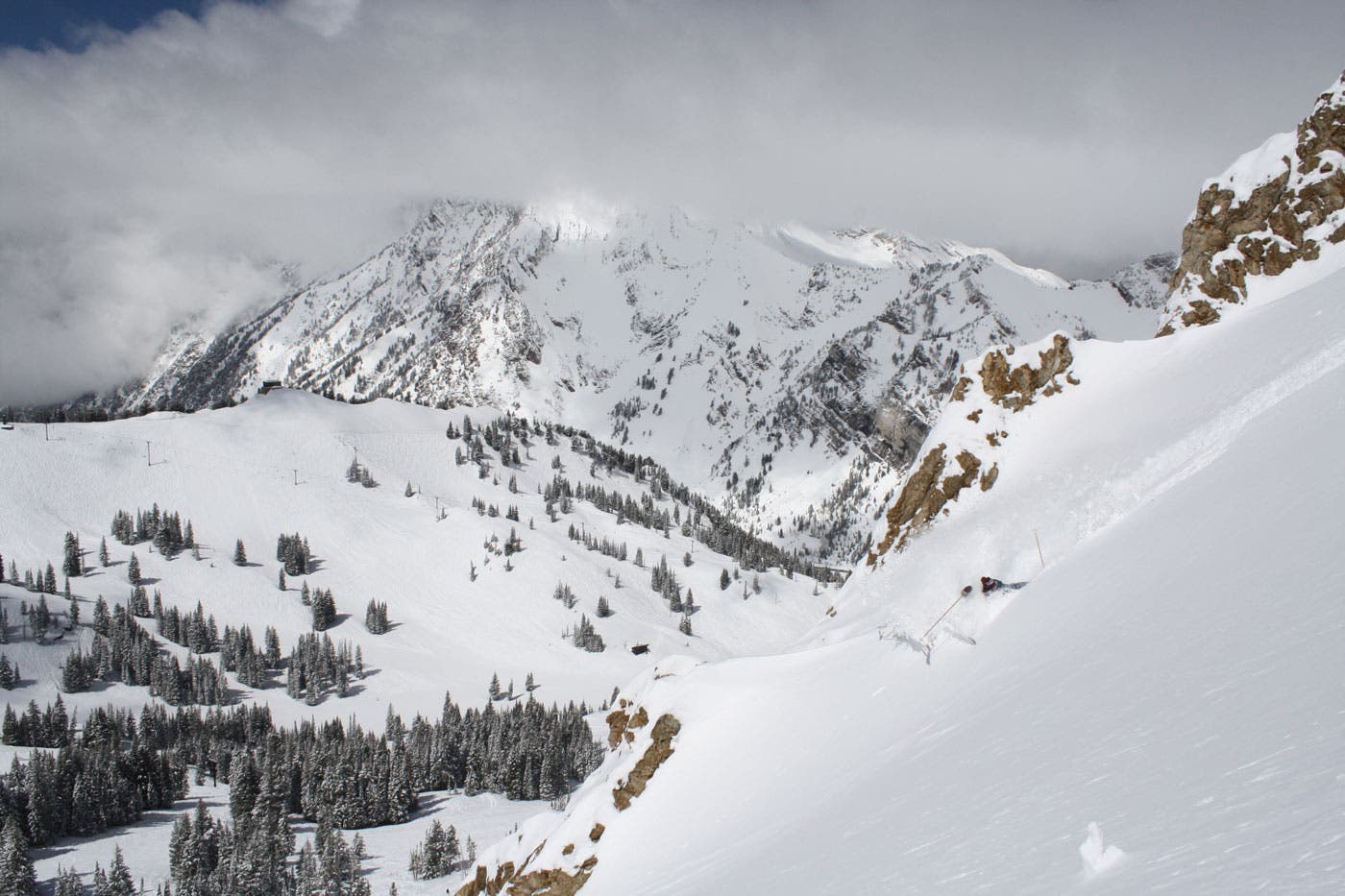 Alta-Variety-web None