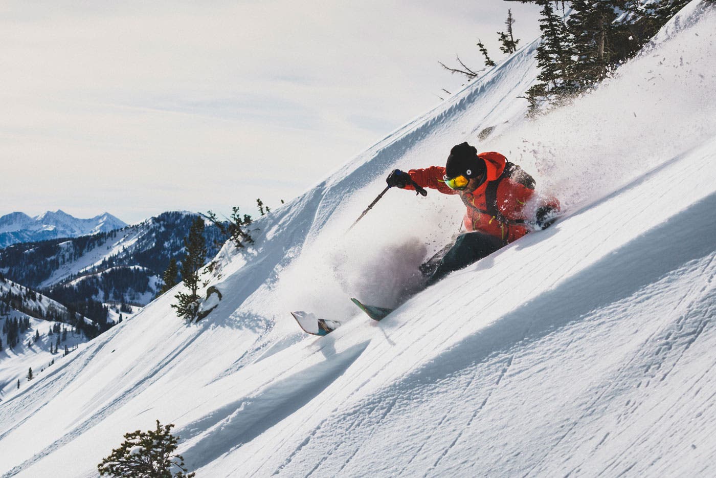 Brighton-SnowQ-web None