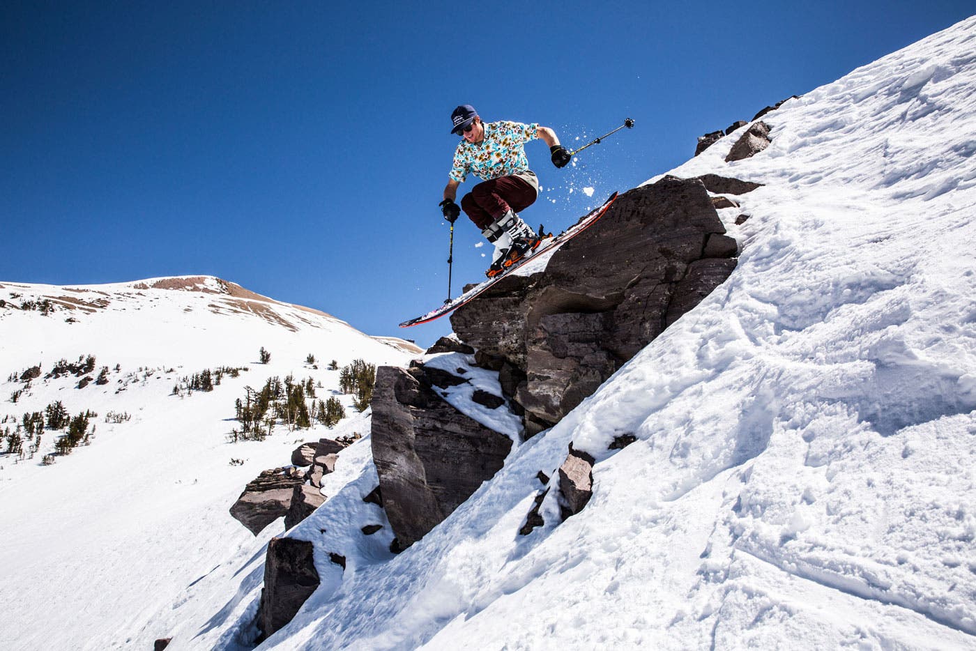 Mammoth-Variety-web None