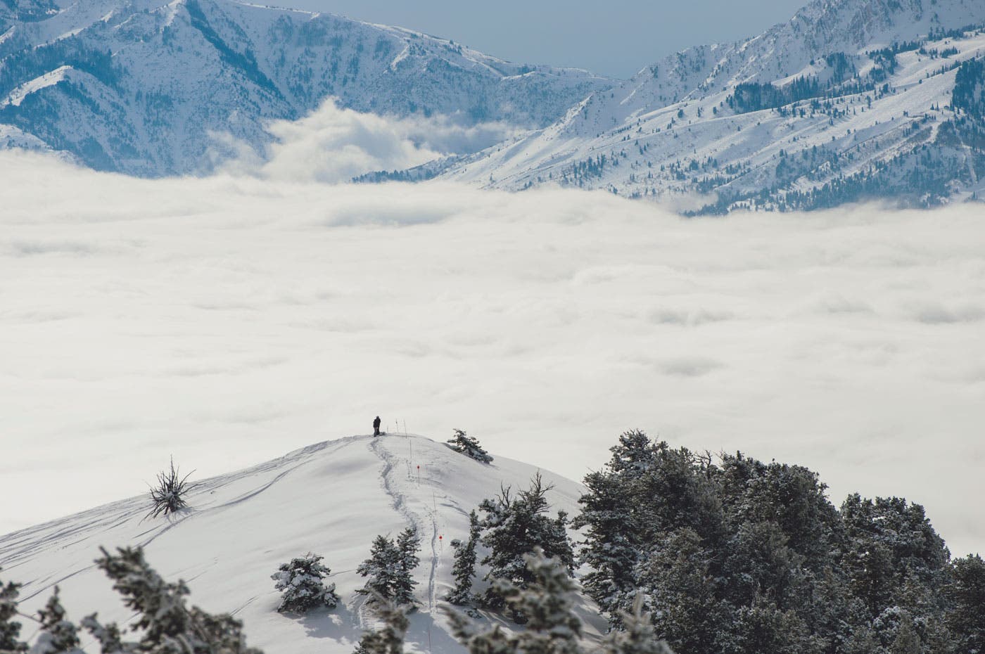 Powder-Mountain-Snow-Q-web None