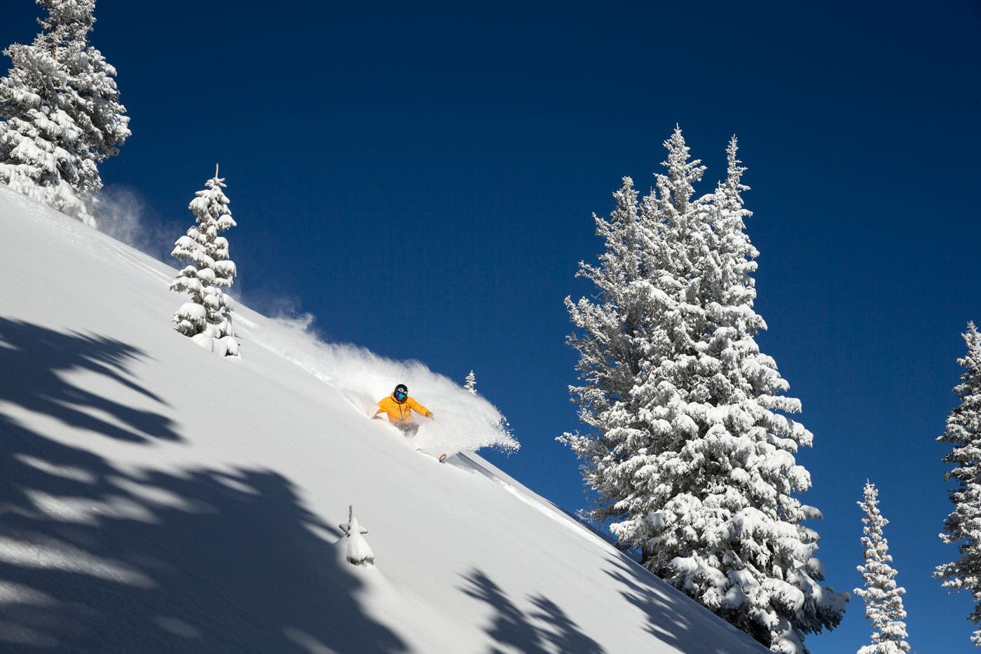 Snow-Quality (1) None