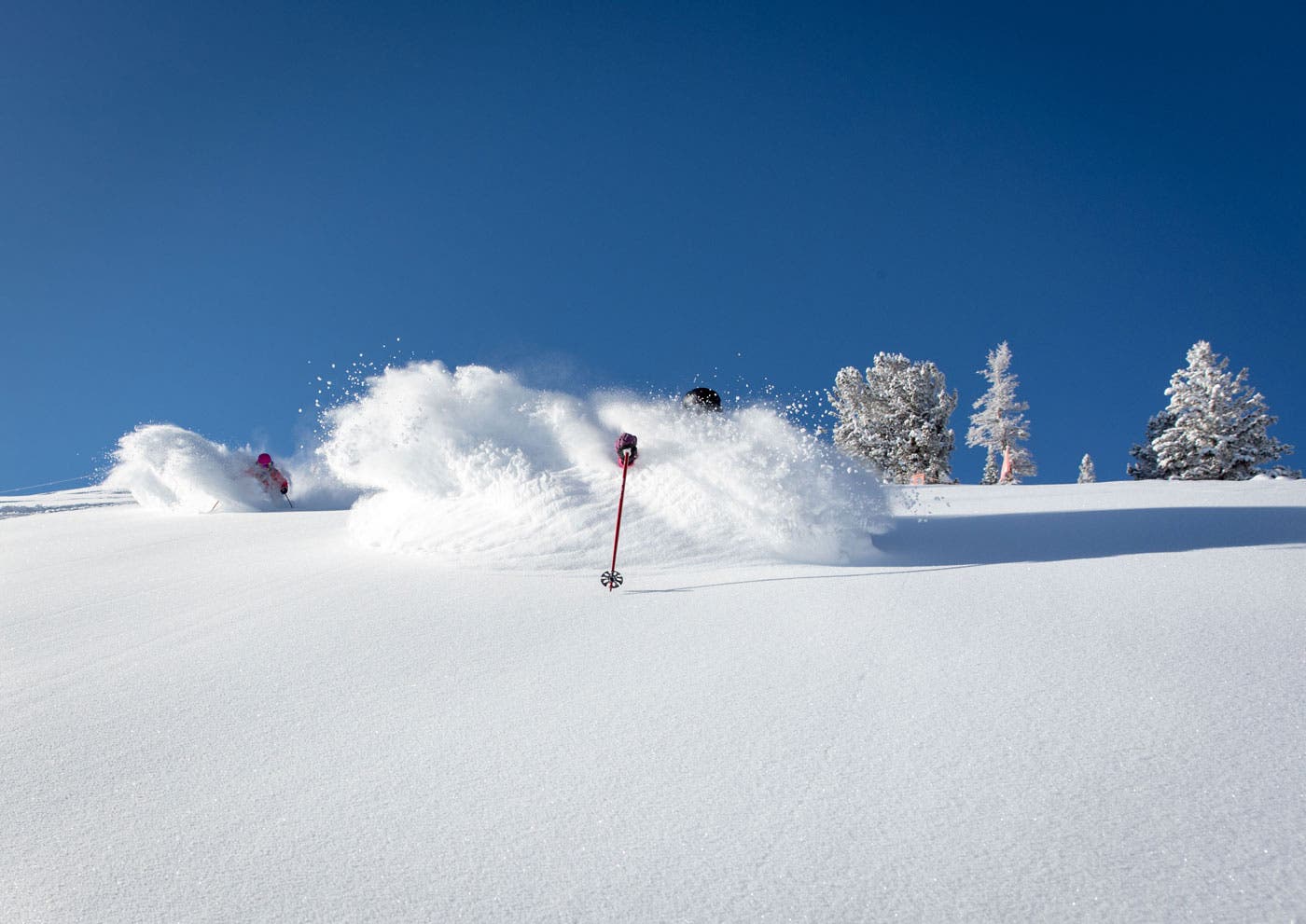 Snow-Quality-Elliot-Wilkinson-Ray None