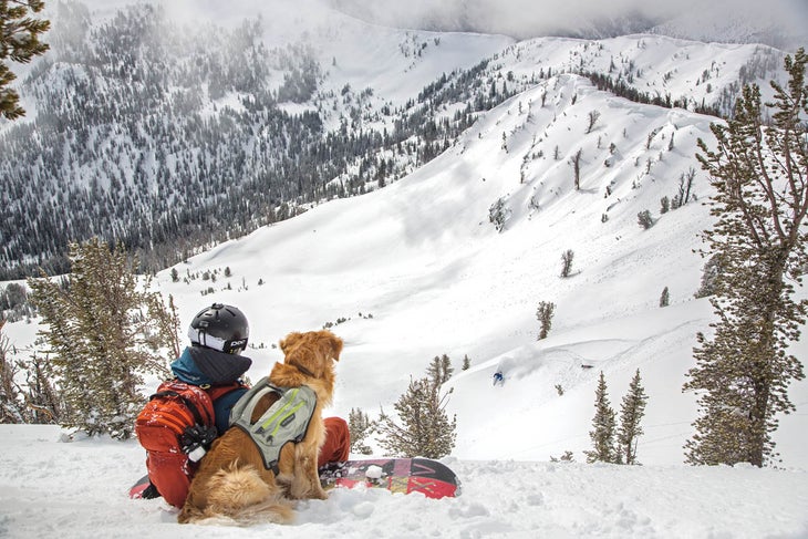 SKI1217_CabinsCompanions_01 wintertux sit stay ski