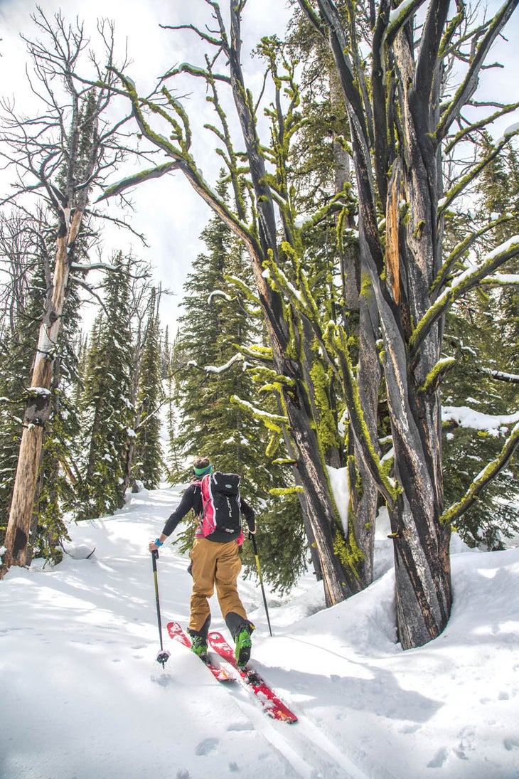 SKI1217_CabinsCompanions_07 Backcountry skiing requires gear specifically designed for ski touring.