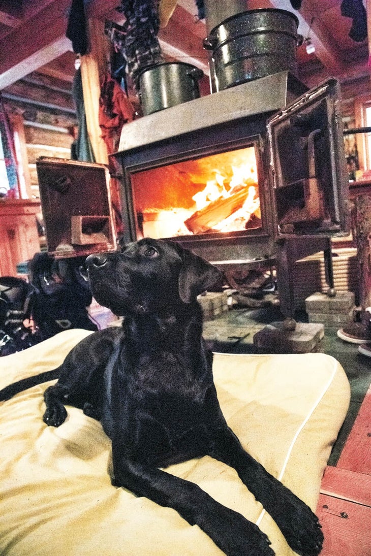 SKI1217_CabinsCompanions_08 Once at the hut, Gru claims a spot by the fire.