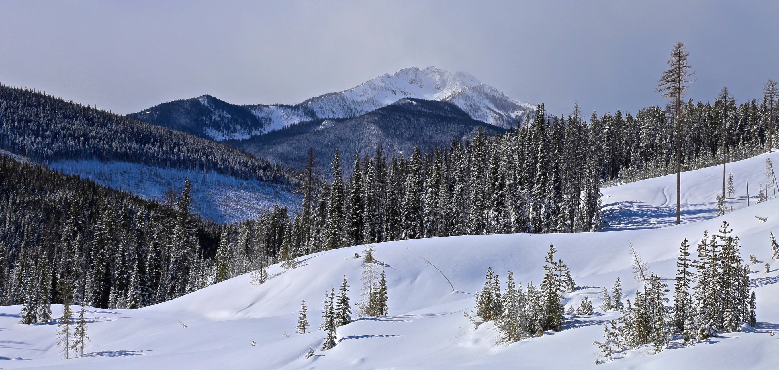 Sebestyen_Kimberly_IMG_4224 None