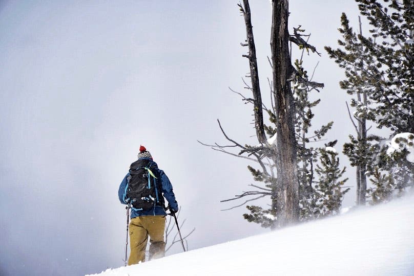 Sebestyen_Kimberly_Photo 2017-03-17, 12 20 05 PM None