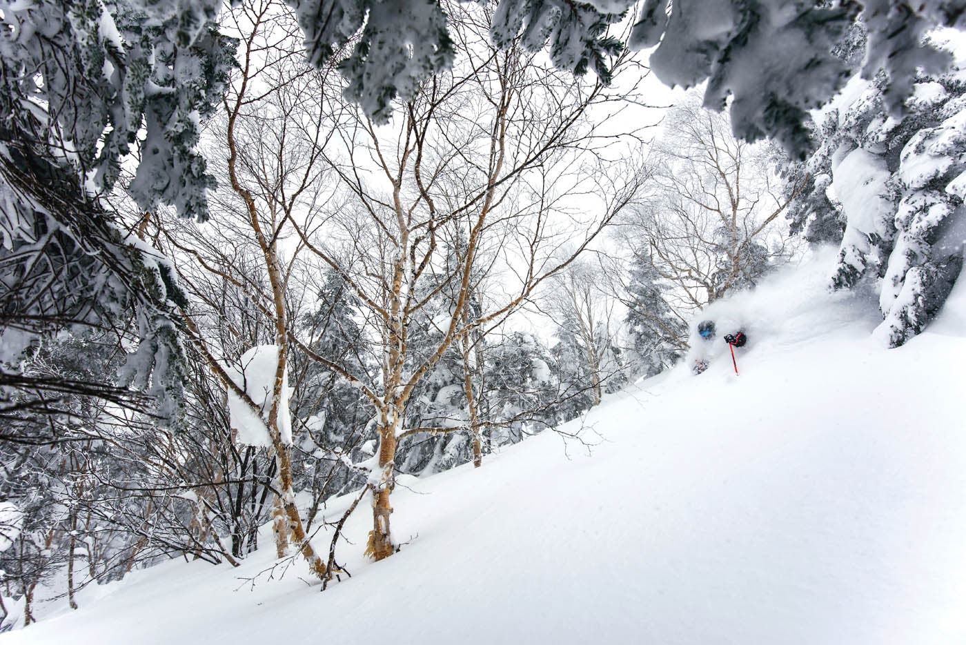 SKI0118_BUC4_creditBrunoLong_v2 This was Long’s first frame of the entire trip—Stan Rey buried in sweet, light Japow.