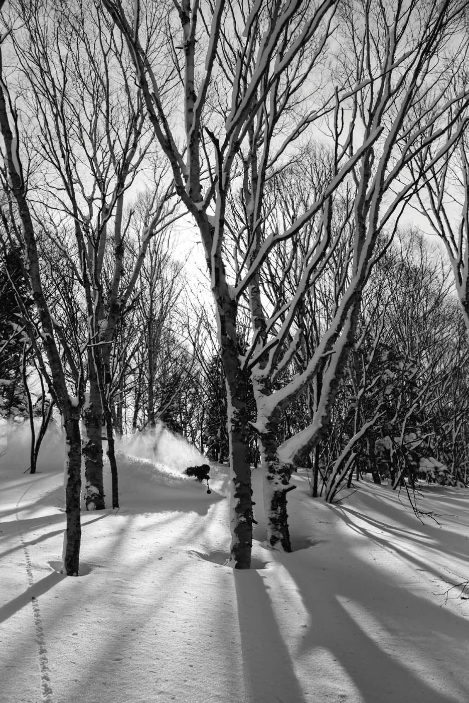 Alexi Godbout samples the powder in the glades around Shiga Kogen resort. Says photographer Bruno Long: “When the tree-skiing is good, there’s no…