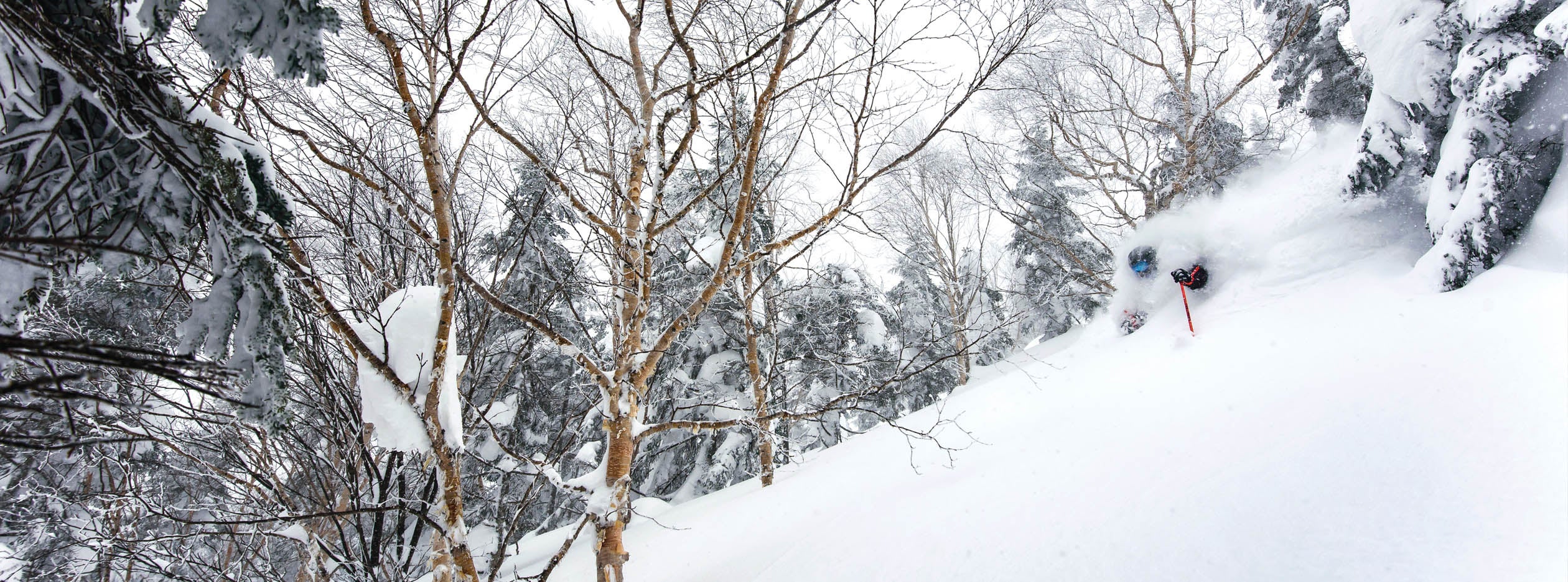 "fountains and mountains tout"