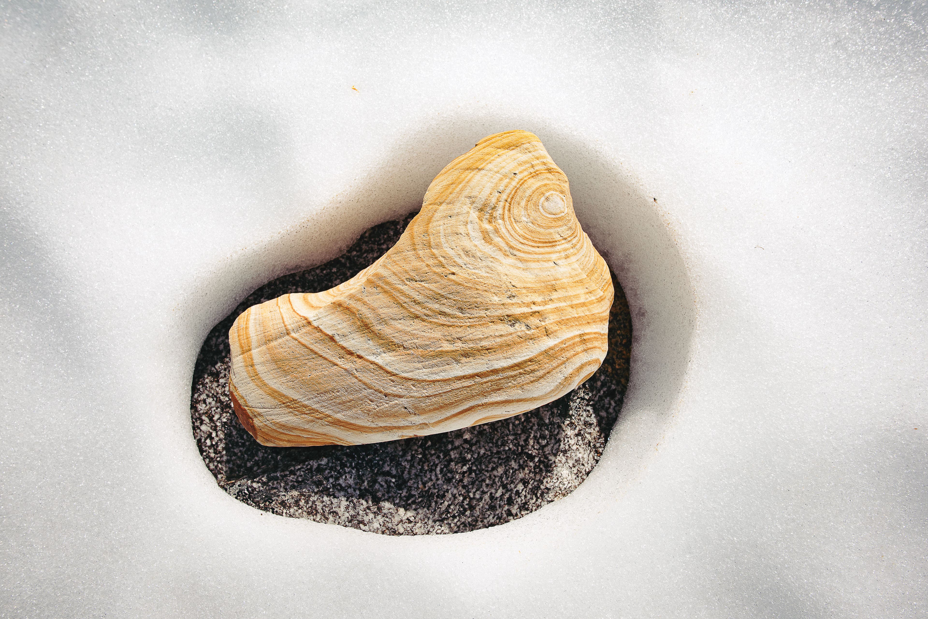 A pretty rock in a perfect, natural frame.