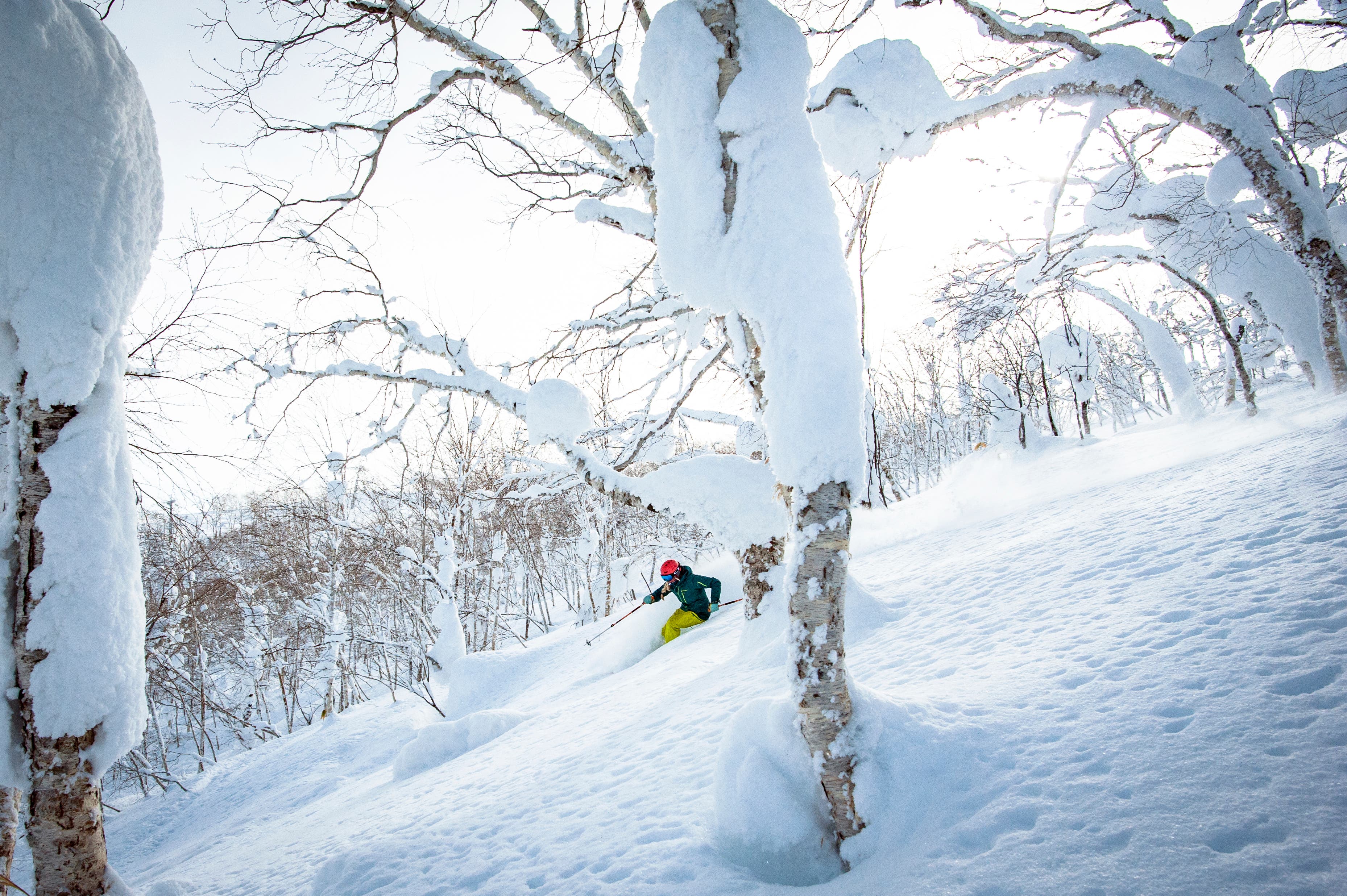 Forget Niseko, get the fam together and then ditch them for first tracks all day long. Skier: Annelise Lovelie