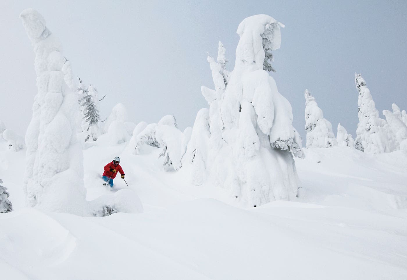 skiing powder at Whitefish
