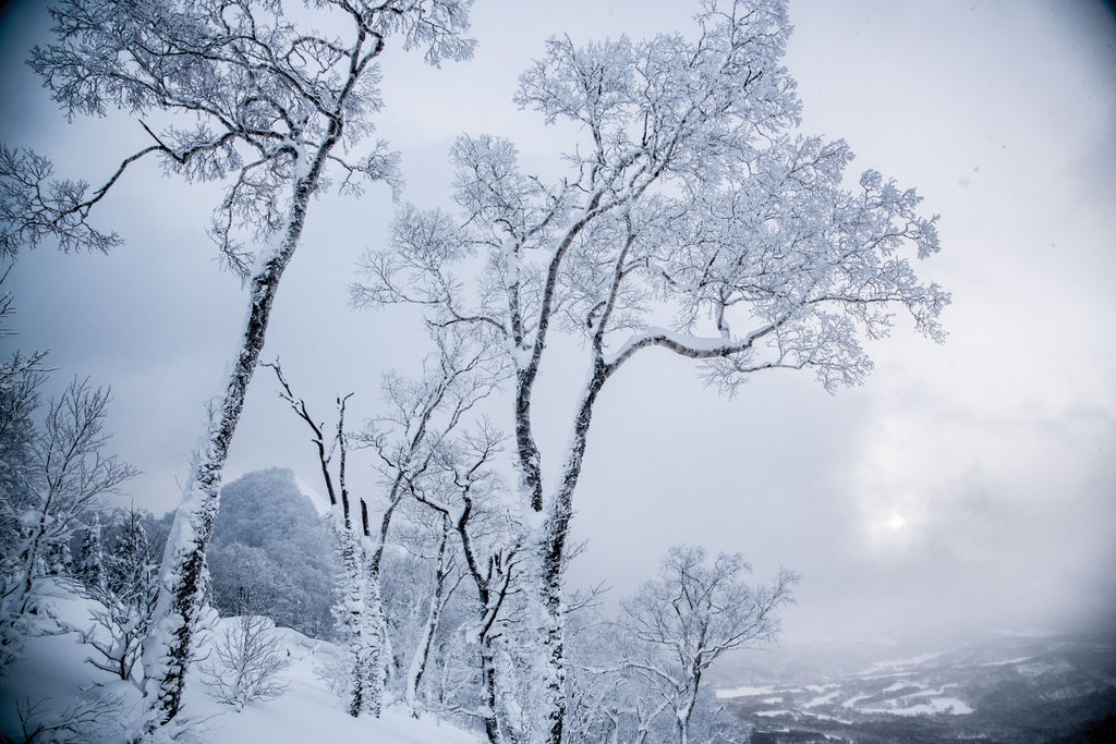 Ski Magazine's Editor's Choice 2019: Powder Dreams In Japanese