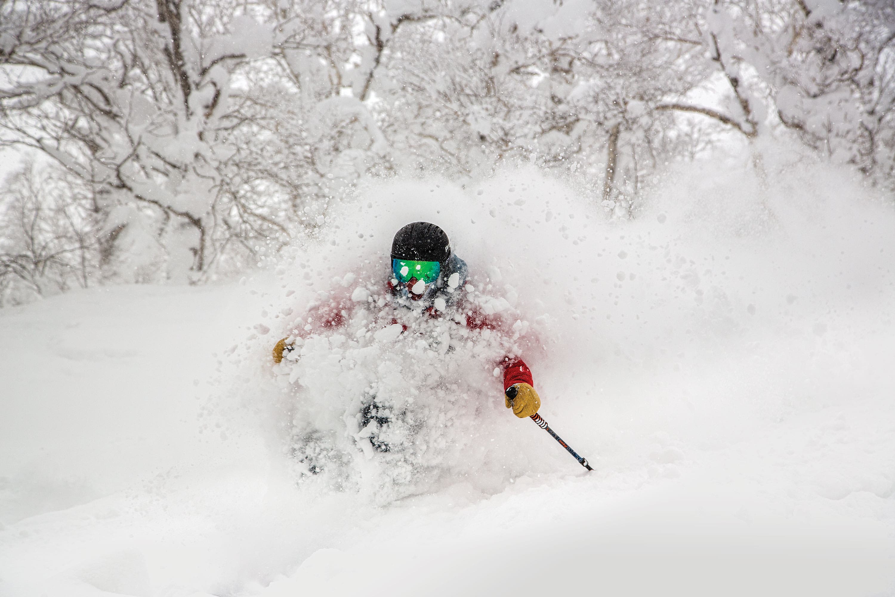SKI1118-Japan-Rusutsu-powshot_S Gordy Megroz in Japan