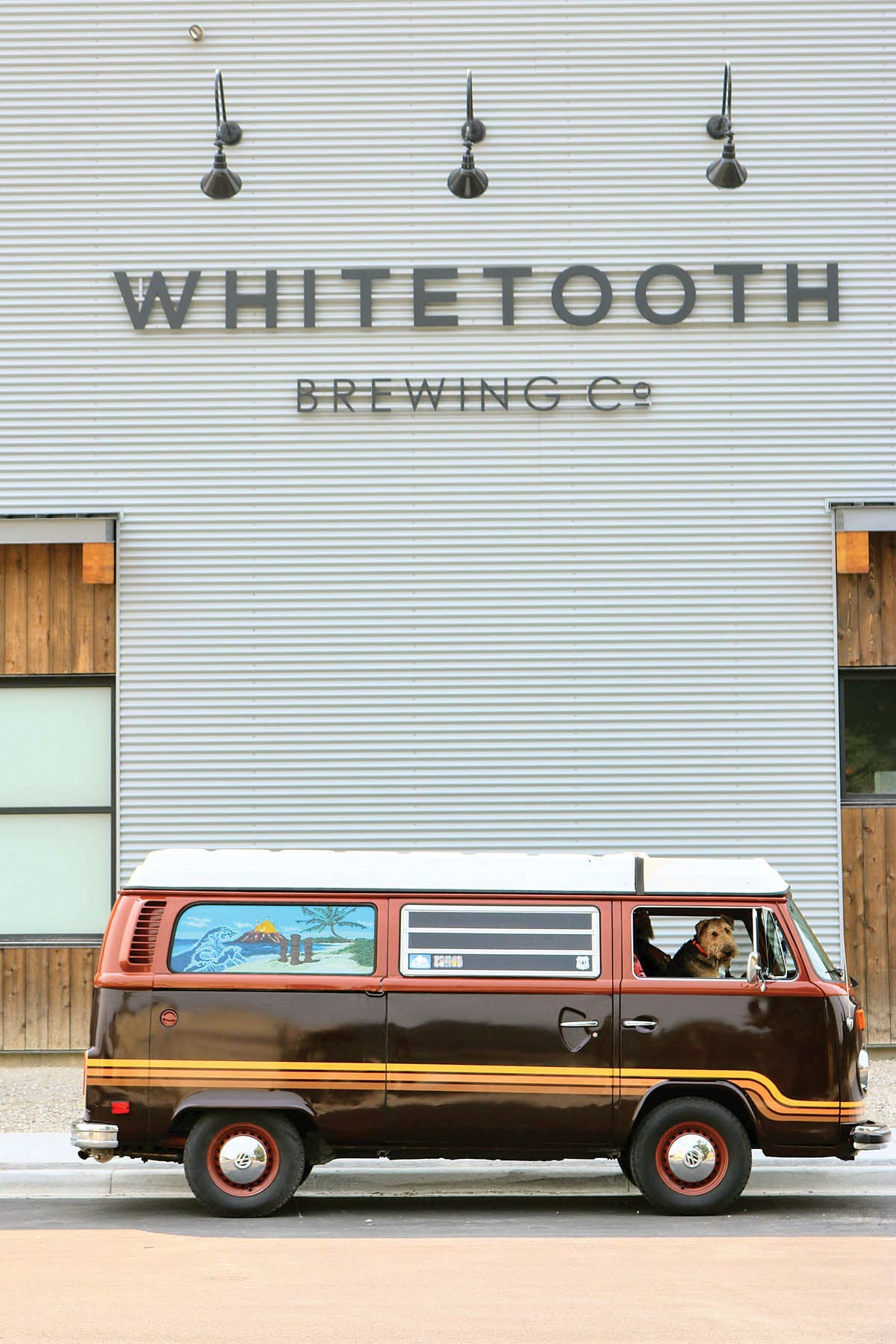 SKI1218-RoadTrip-byLenaSpicer-s Golden's Whitetooth Brewing Company