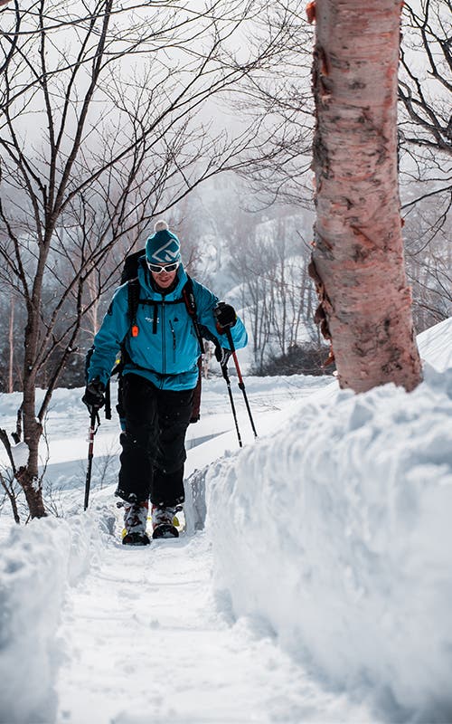 hakuba-evergreen-alpine-touring None