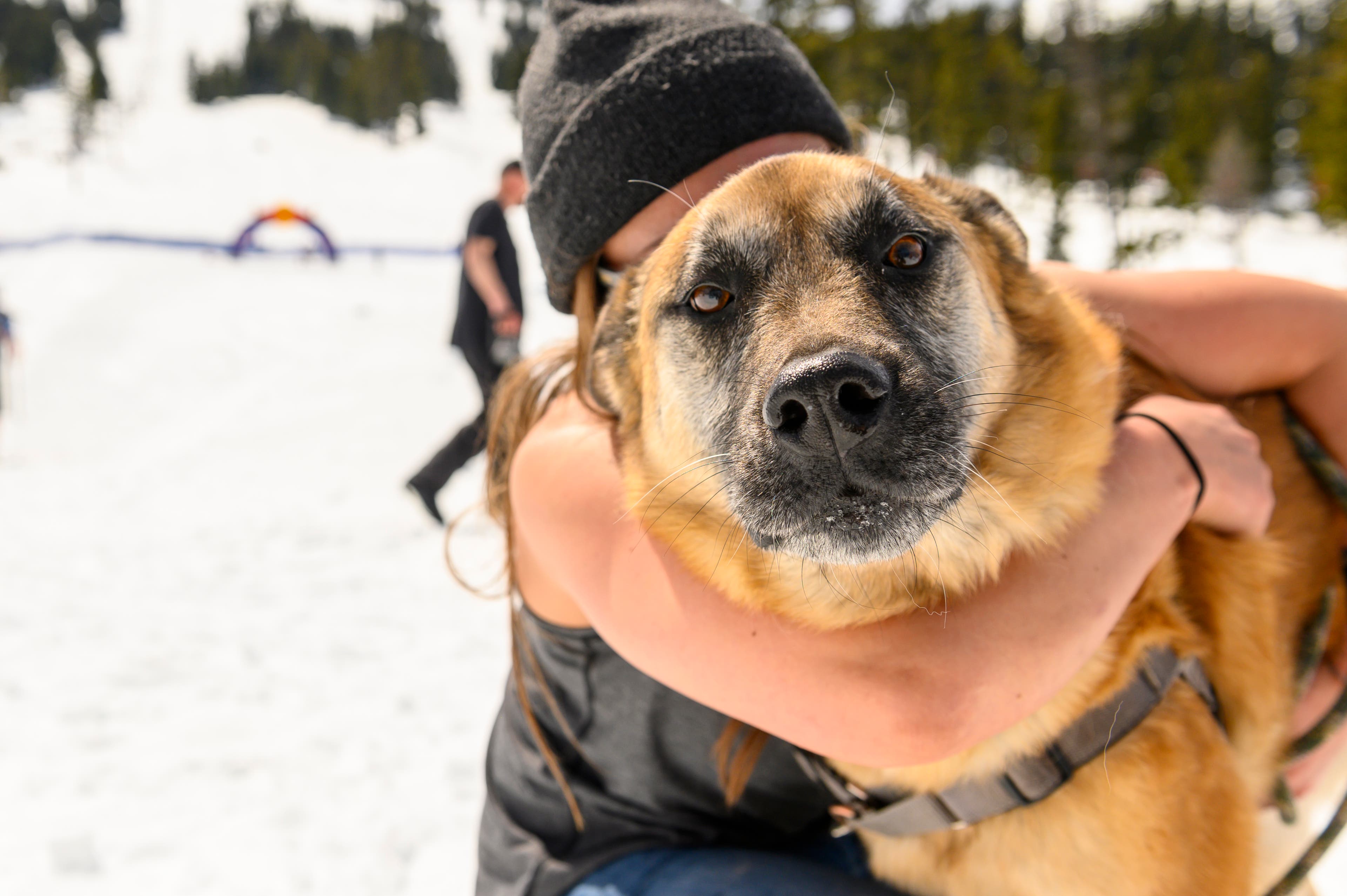 Bachelor041819_AB_216-low Dog at Mt. Bachelor