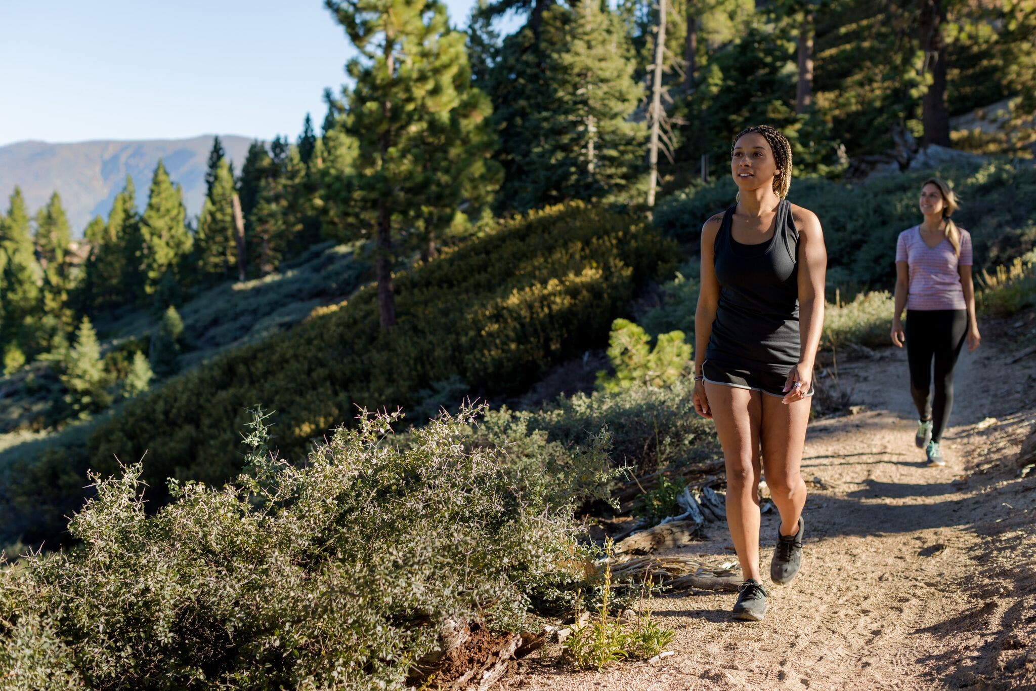 BigBearSummer2(credit-LeeStockwell) Summertime Hikes at Big Bear Resort