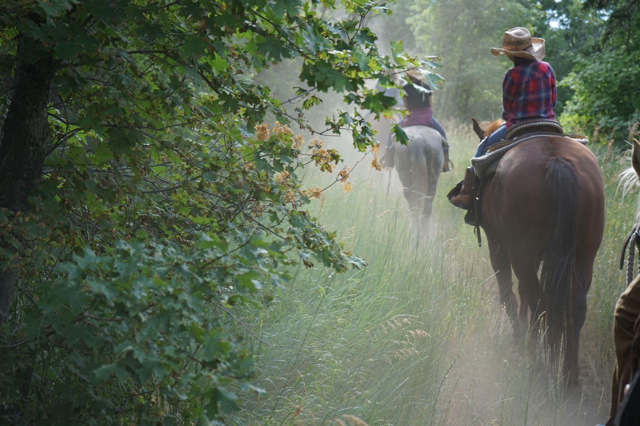 Horseback Riding at Sundance