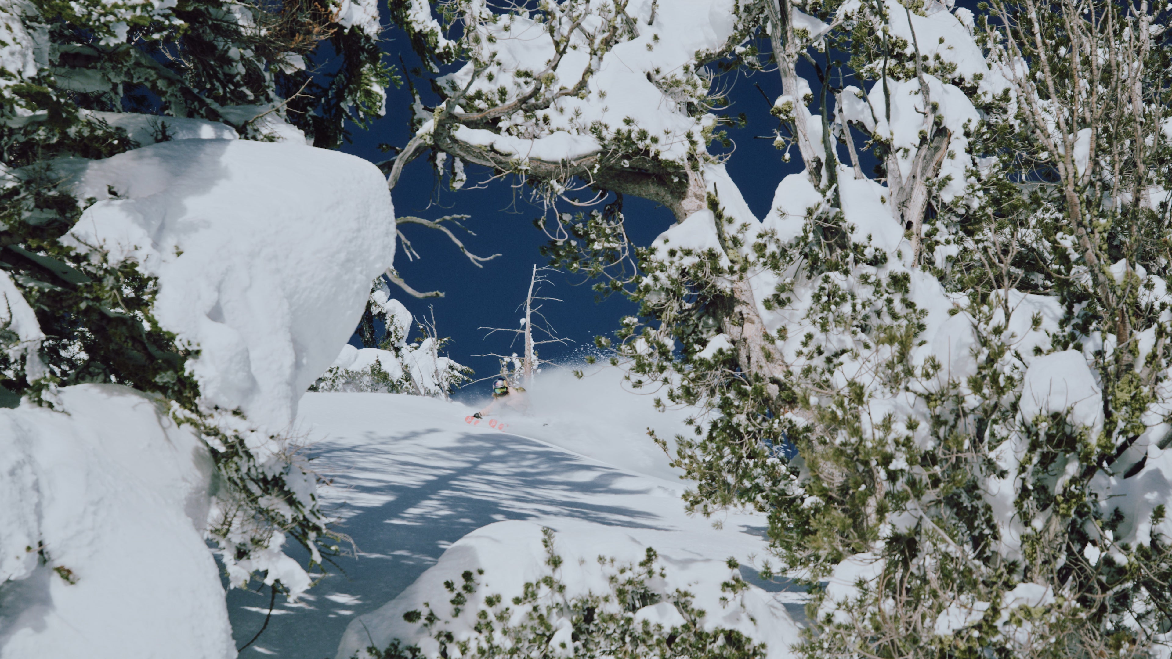 "Michelle parker skiing through trees obstructed by snow covered trees and flying snow from her skies"