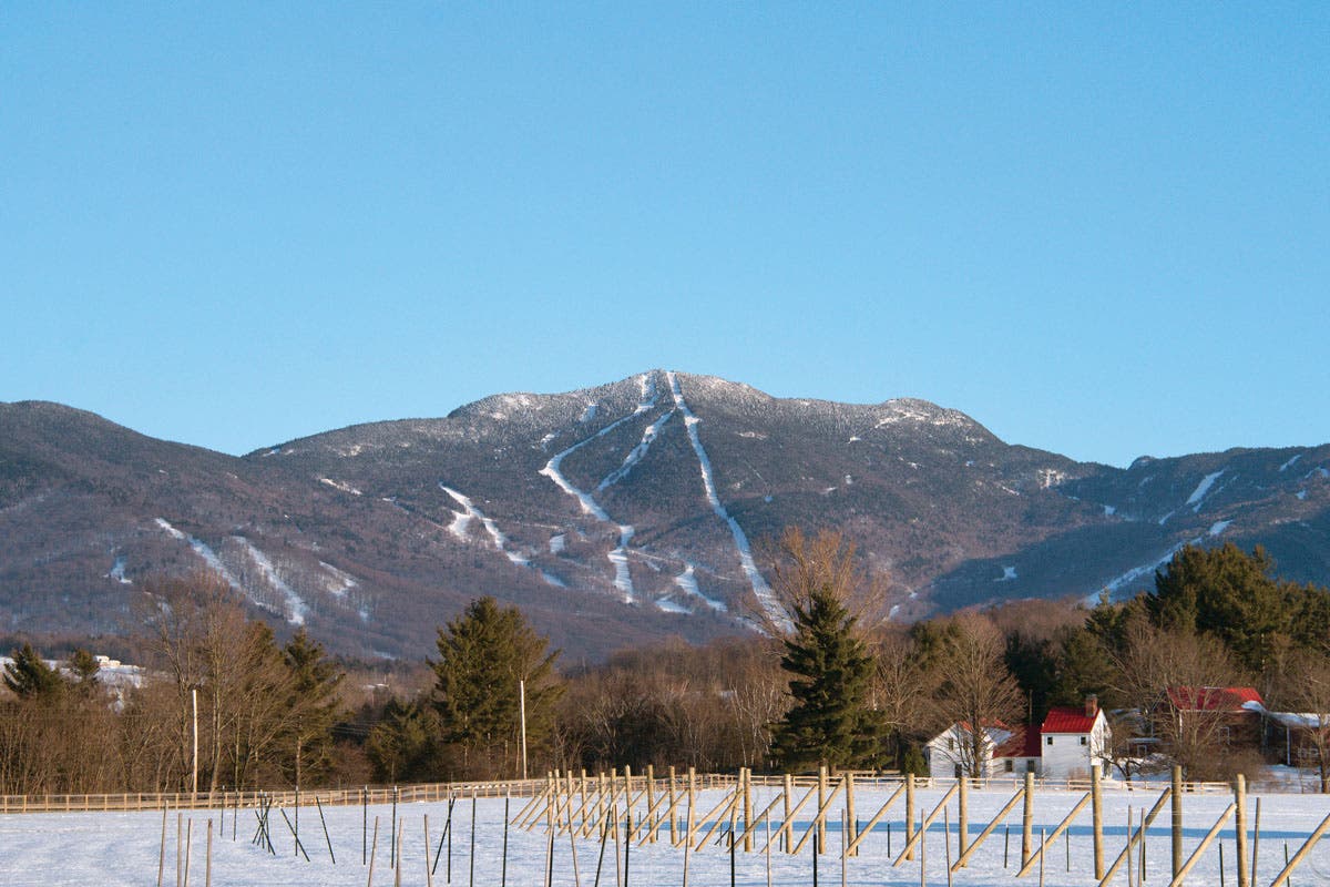 Smuggs' majestic trio, from left to right: Morse, Madonna, and Sterling.