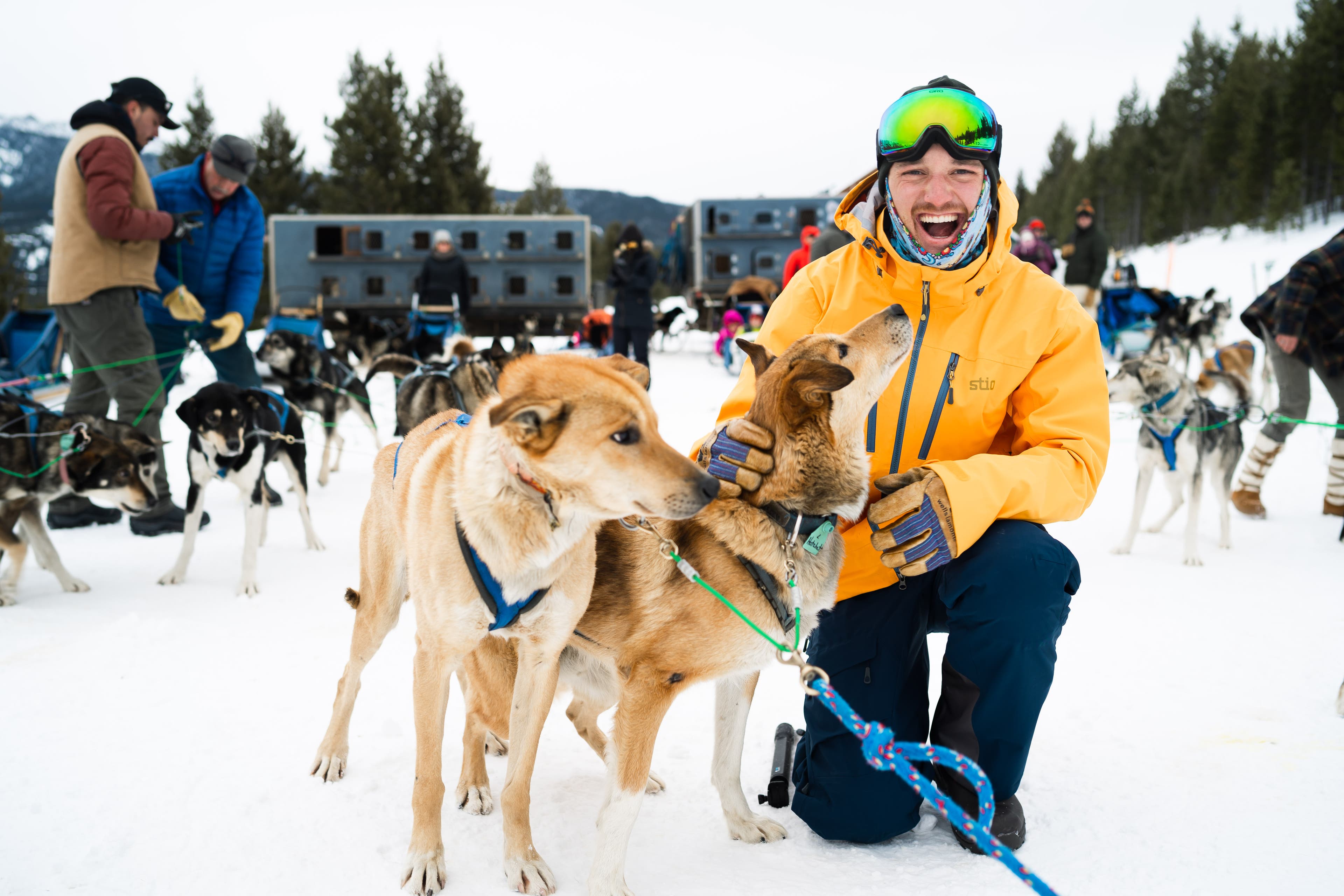 DogSledding-Celia Dog sledding dogs at Big Sky