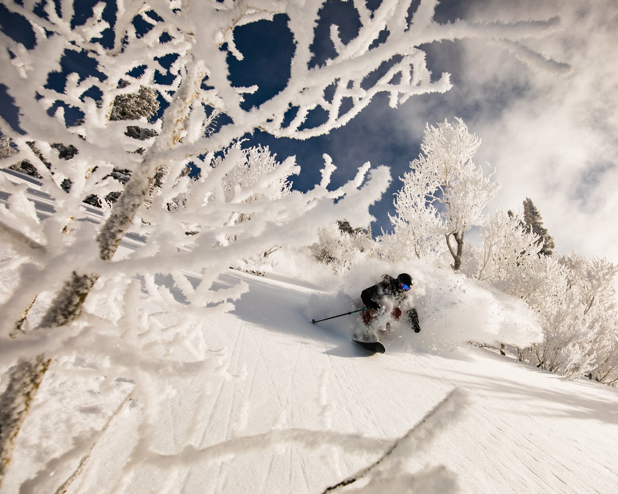 whitakerc-8406 Carston Oliver in the Sawatch Mountains