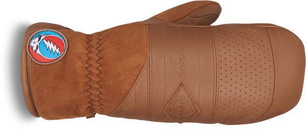 "Dakine Team Baron Gore-Tex Mitt"