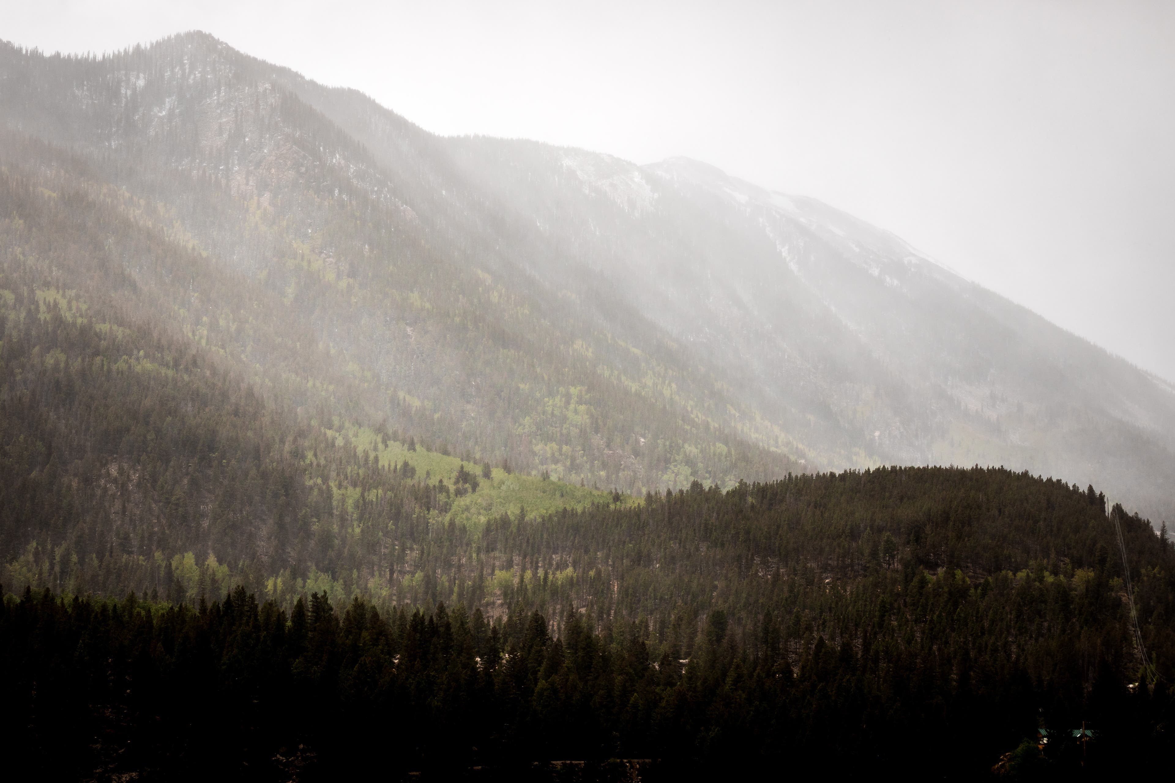 _O5A7947 A summer snow event dropped fresh snow on Colorado's Rocky Mountains on June 9th, 2020.
