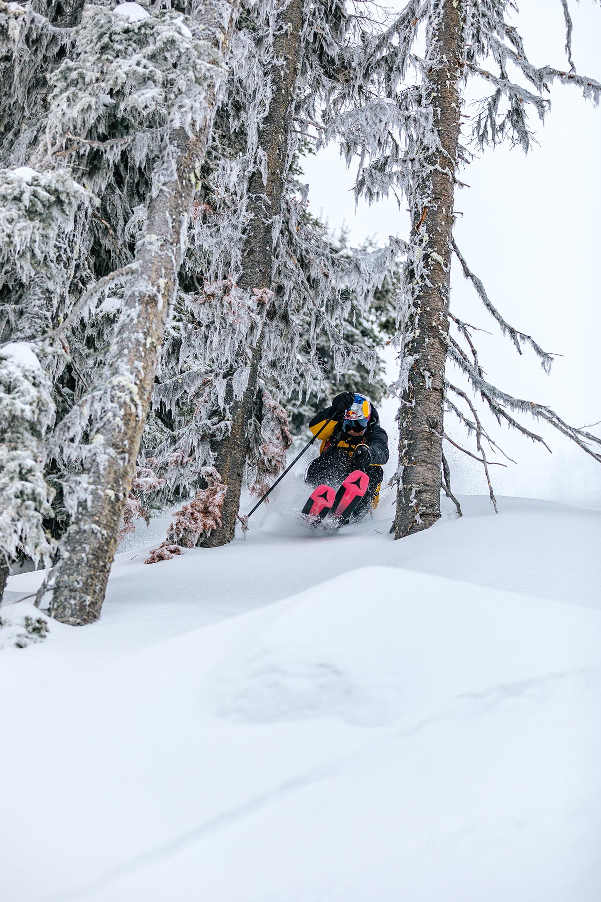 DaronMentalTips Daron Rahlves skiing trees in Fernie