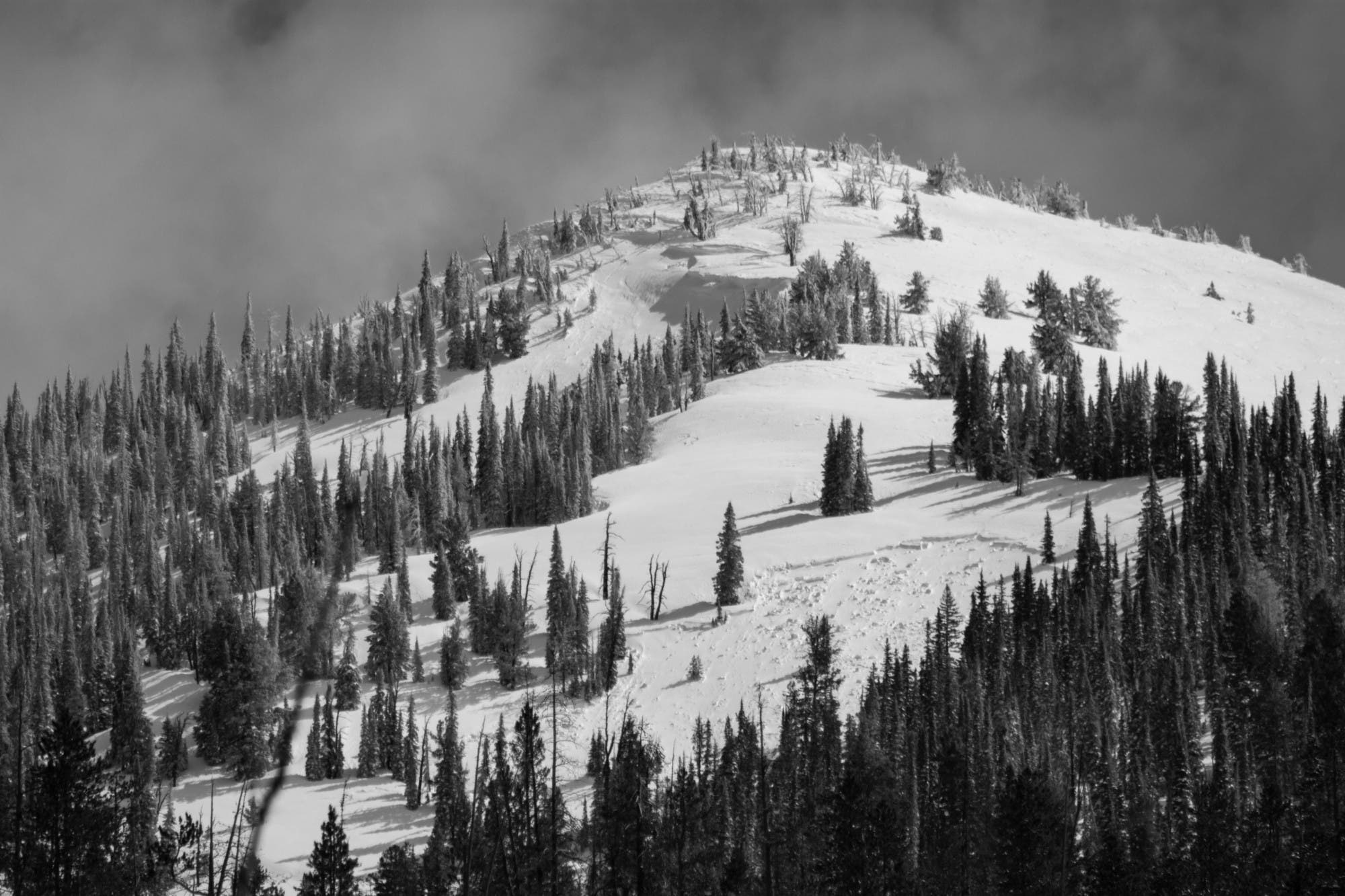 Copper-mtn_cred-Tanner Haskins_IMG_8151 Banner Peak on Copper Mountain with avalanche crown