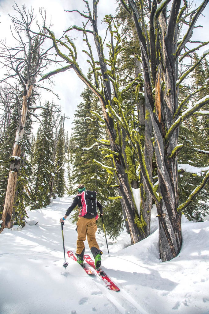 Backcountry Skiing Accessories for Every Skier