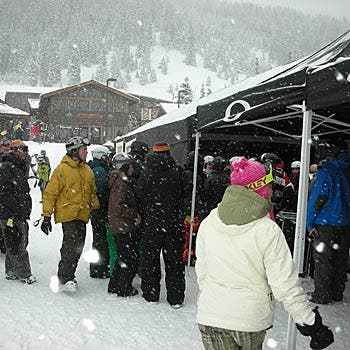 Avalanches By the Numbers Graphic None