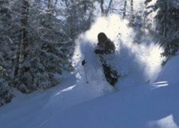     Good bikes are priceless. A great mountain bike will come with an incredibly strong frame, shocks that can endure drops of 2 feet or more, and…