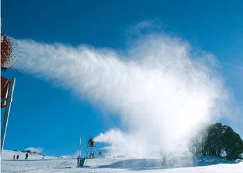 Family Values The Whites and their family and friends stand together for a group shot. It took more than just Ken to accomplish this feat. Donate Here