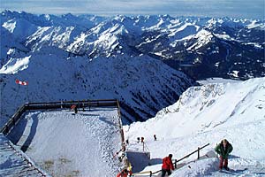 McConkey...Shane McConkey None