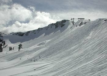 skg2309cheap_zdt.jpg None