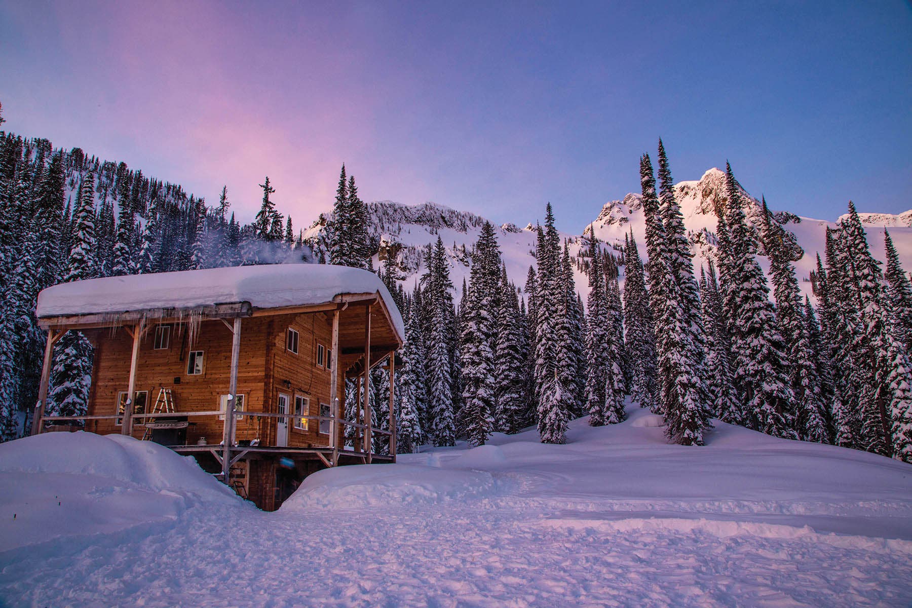 Hilda Hut is tucked into a spruce forest below the flanks of the peak of the same name.