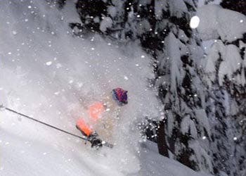 ski_baggage_thumb.jpg None