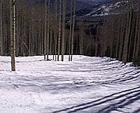 The Wasatch: Going Up Snowbird, located in Little Cottonwood Canyon in the Wasatch mountains of Utah, is a steep skiers paradise. You get more bang for buck in terms of…