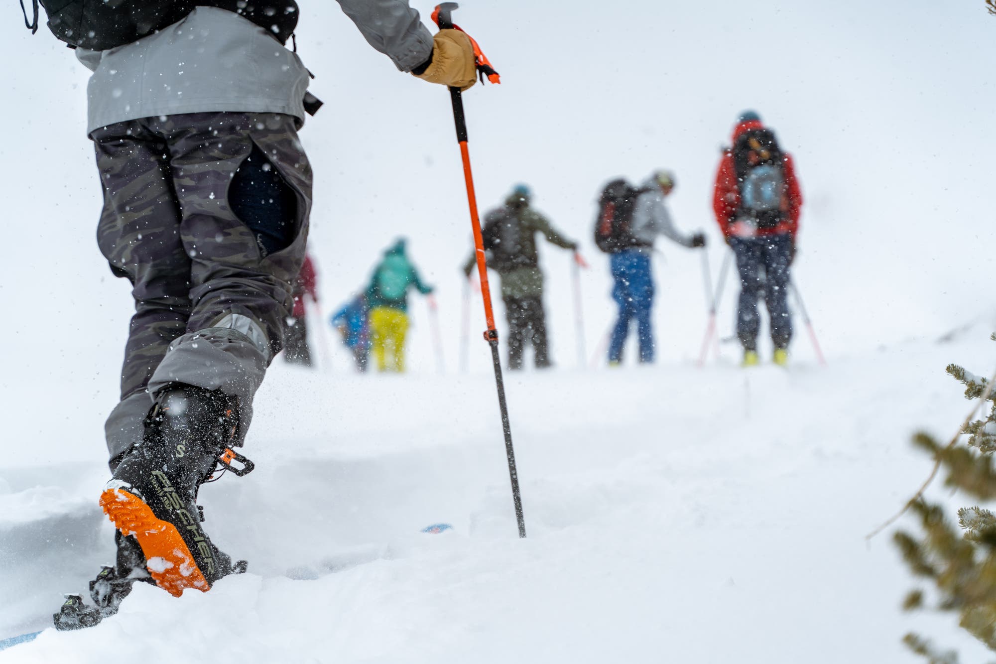 Skiers touring in the backcountry