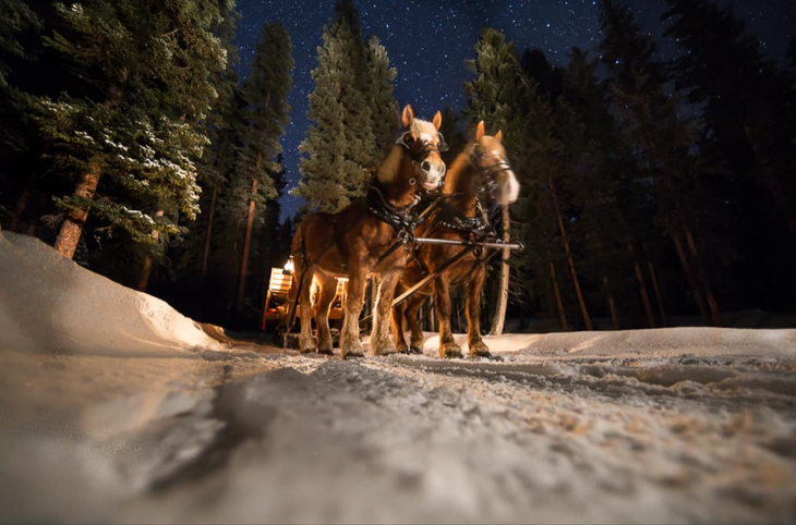 5 Ski Resort Dinner Experiences Worth Every Penny | SKI