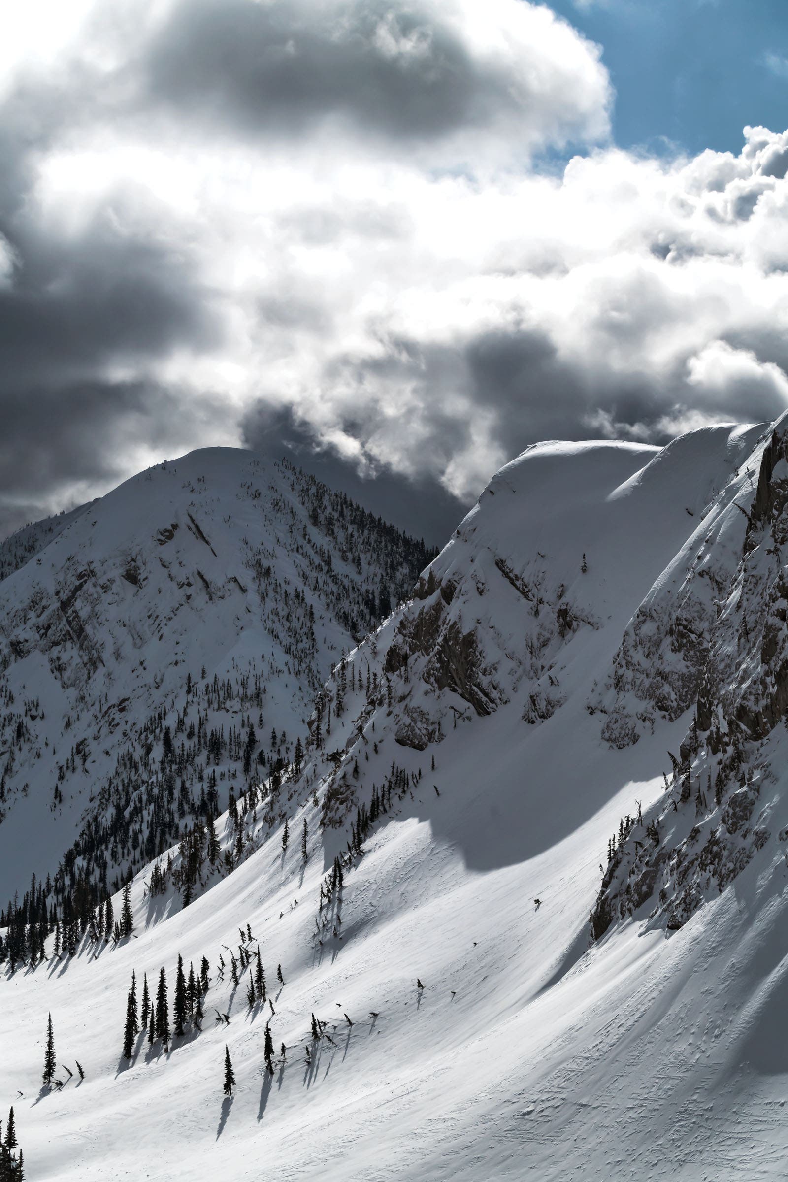 Fernie Alpine Resort