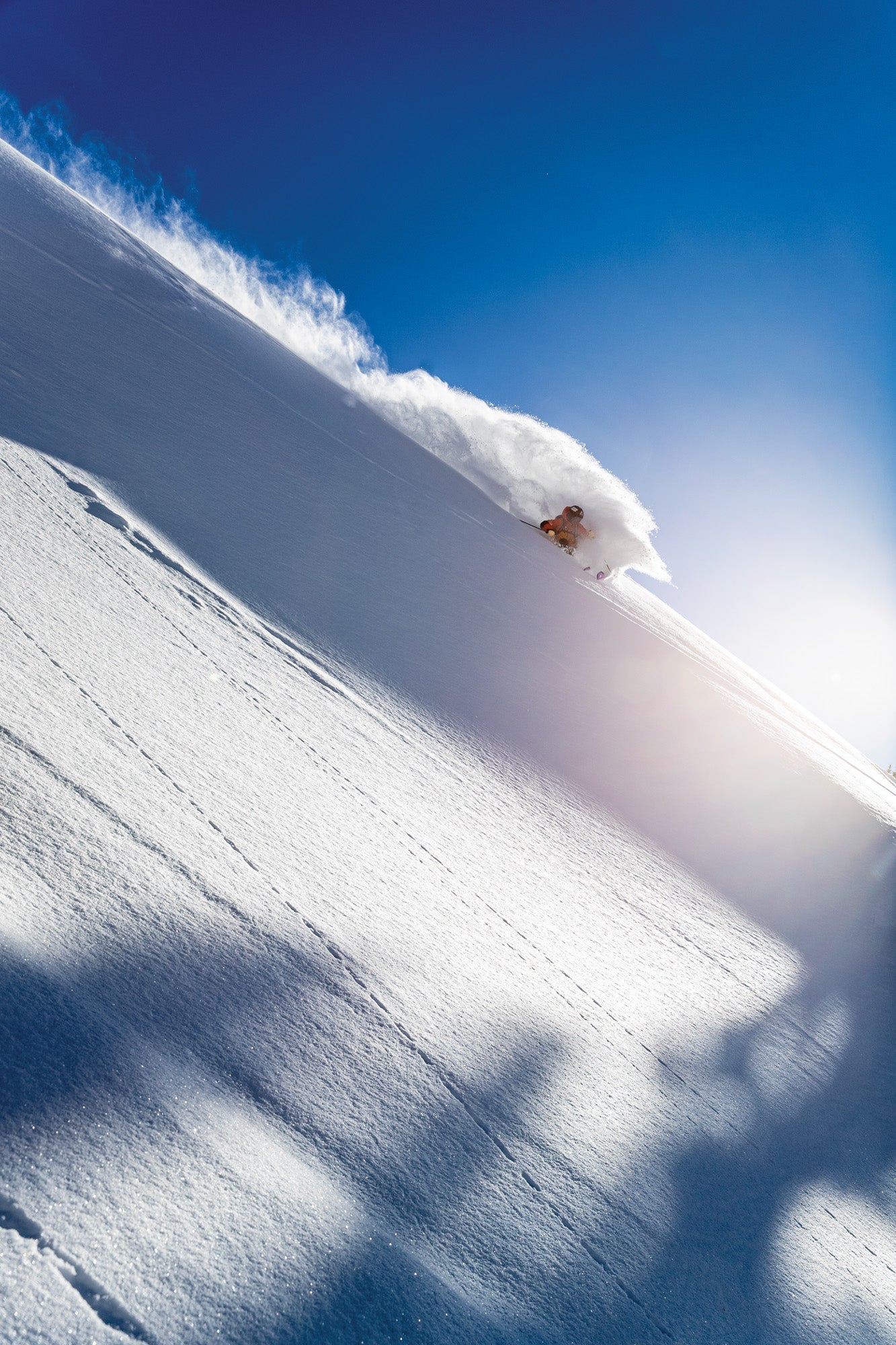 Henrik Windstedt at Alta, Utah