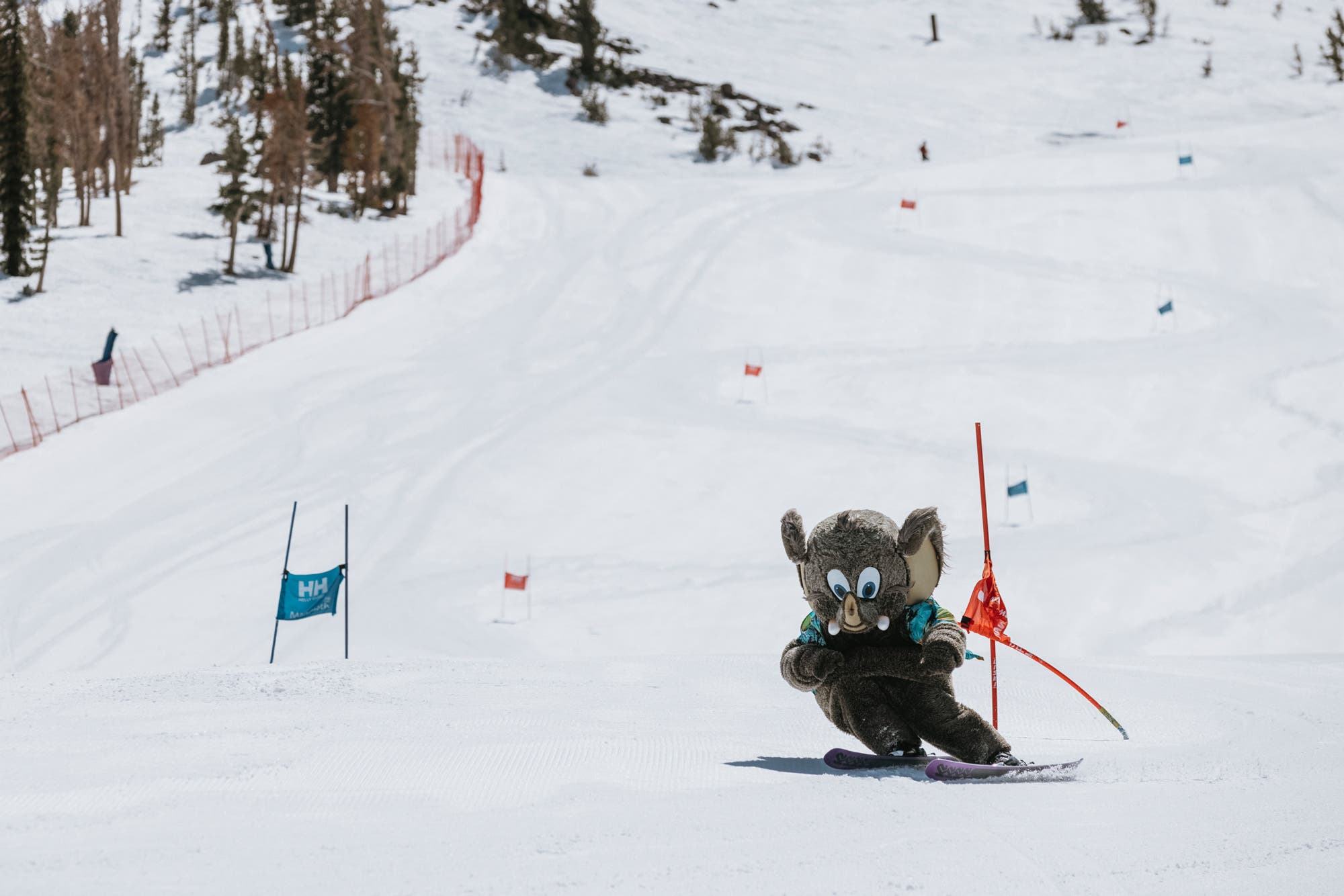 Woolly the Mammoth skiing on a GS course