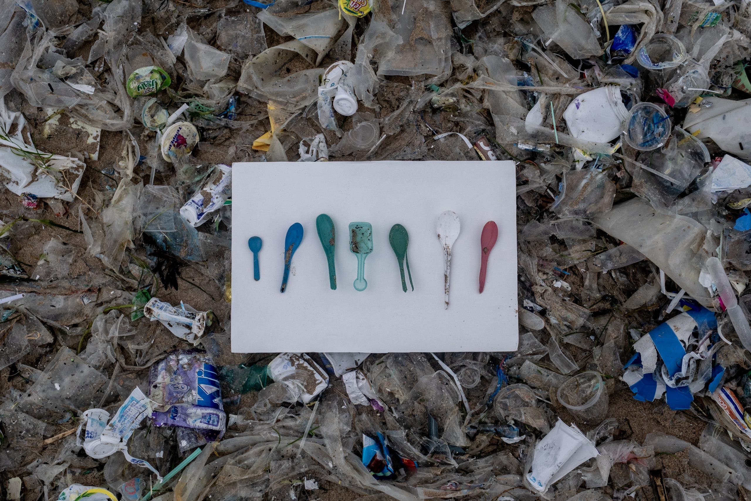 Great Pacific Garbage Patch