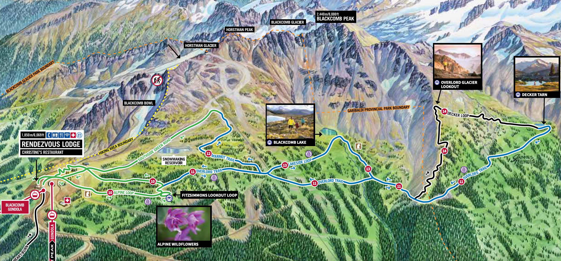 Blackcomb hiking map